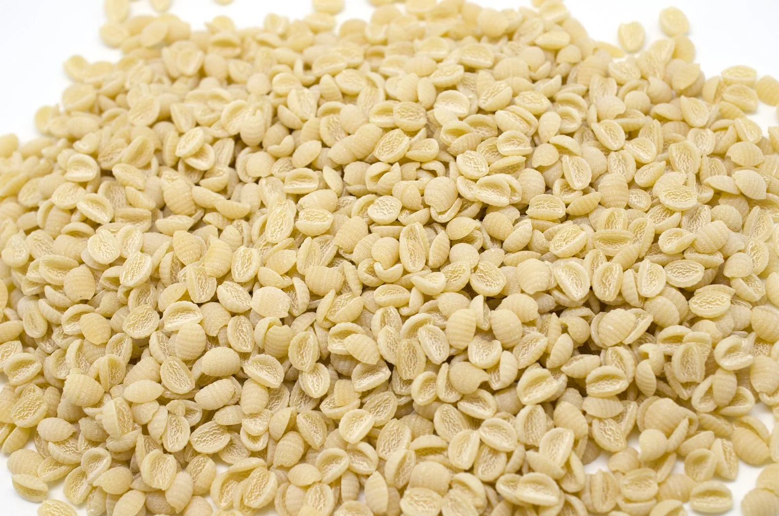Malloreddus, i gnocchetti sardi rigati, su un piano chiaro