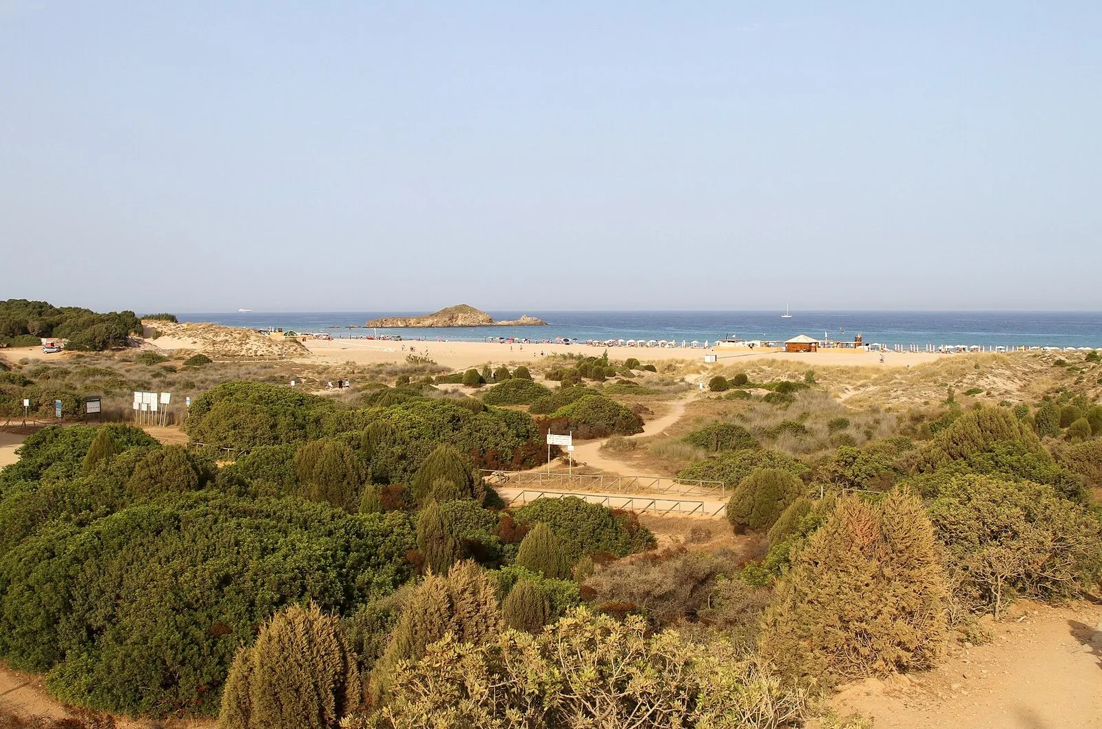 Le dune coperte di vegetazione bassa alle spalle della spiaggia di Su Giudeu